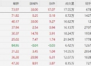 赛力斯午后走弱，盘中跌超5%