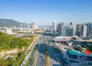 大项目集聚加速 2024年深汕特别合作区产业投资促进大会成功举行