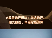 12月10日华丽家族涨停分析：徐翔概念股，机器人，恒大概念股概念热股