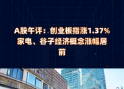 午评：创业板指涨2.21% PEEK材料、消费概念等大涨