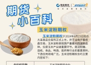 2024年12月11日最新玉米淀粉价格行情走势查询