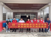 2025年新疆能源行业供需分析及前景预测_人保财险政银保 ,人保有温度