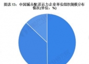 人保车险,人保护你周全_洋葱行业市场发展现状及竞争格局、需求趋势分析2024