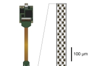 我国科研人员开发新型植入式脑神经探针