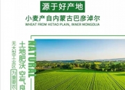 2024年12月14日工业面粉价格行情今日报价查询