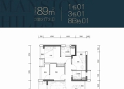 单价约50万元/平方米，深圳最贵法拍房出现！原主人是知名装修公司老板娘