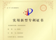 氯碱化工获得实用新型专利授权：“一种连续反应设备”