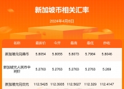 2024年12月19日今日松树皮最新价格查询