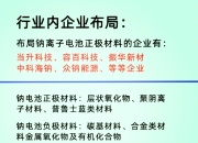 2025锂电池材料行业市场发展现状及供需格局、未来前景分析_人保车险   品牌优势——快速了解燃油汽车车险,人保护你周全