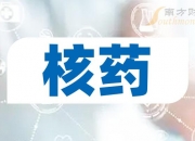 海正药业：子公司依维莫司原料药获化学原料药上市申请批准通知书