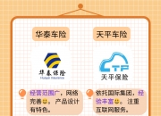 人保车险   品牌优势——快速了解燃油汽车车险,人保伴您前行_2025安全评价行业市场发展现状及供需格局、未来潜力分析
