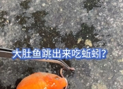 北京一门店“吃出蚯蚓”！被立案调查后，知名品牌道歉：涉事门店停业一周，店长被开除！全国拥有超3500家门店，网友：早上刚吃……