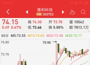 与德国博世存在争议和分歧 隆利科技决定终止宝马汽车项目30亿元合同