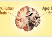 科学新证：多思考能延缓大脑衰老进程