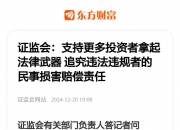 证监会：支持更多投资者拿起法律武器追究违法违规者的民事损害赔偿责任