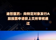 河南东龙控股集团拟发行20亿元公司债，获上交所受理
