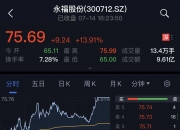永福股份：扩张储能业务版图 加速虚拟电厂布局