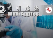 药明康德：WuXi ATU业务交易预计将在2025年上半年完成