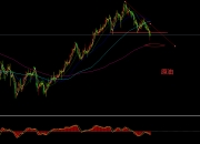 油脂：棕油受产量下降支撑逐步反弹回升