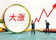 刚刚，多家公司发布利好！