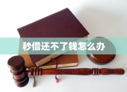 2024地方政府借钱逼近10万亿元 花哪儿了？