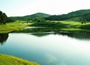 鲁泰Ａ：公司所持有的交易性金融资产会在每个报告期末时点计量产生的公允价值变动，计入当期损益