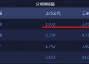 一边节节走低 一边居高不下 城投境内外发债利率为何差异巨大？
