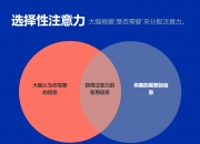 中兴商业持续扩大恐龙IP的影响力 积极寻求与更多潮流品牌合作