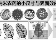 江山股份获得发明专利授权：“一种连续化纳米粉体脱酸装置”