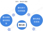 2025年多能互补行业现状与发展趋势分析_人保服务,拥有“如意行”驾乘险，出行更顺畅！