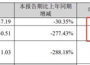 ST旭蓝：无法在责令改正期限内完成资金占用整改 1月6日起停牌