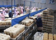 【企业动态】华绿生物新增1件法院诉讼，案由为建设工程合同纠纷