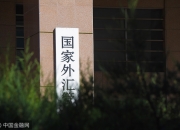 人保财险政银保 ,人保财险 _外汇行业市场现状分析：2024年前11月中国外汇市场累计成交266.32万亿元人民币