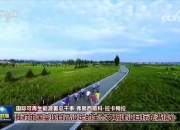 拼多多高质量发展战略再升级：成立“商家权益保护委员会” 构建多方共赢生态