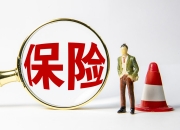 2024年上市公司购买董责险增超三成 险企未来展业或更趋审慎