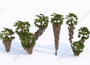 5月22日棕榈股份涨停：VR&AR，园林，体育产业概念热股