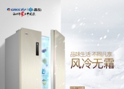 格力电器获得实用新型专利授权：“搁架以及冰箱”