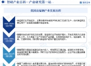 2024中国电子元器件行业市场调研及发展前景预测_人保车险   品牌优势——快速了解燃油汽车车险,拥有“如意行”驾乘险，出行更顺畅！