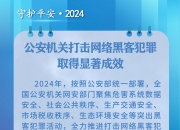 网警重拳出击 摧毁一网络水军团伙，15人落网