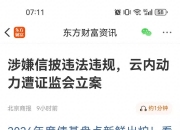 5月26日云内动力涨停：充电桩，机器人，氢能源/燃料电池概念热股