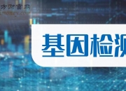 华大智造公布国际专利申请：“基因数据的编码和解码方法、装置及基因检测系统”