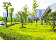 碳路者说|中国节能协会副秘书长张军涛：零碳园区引领绿色转型 构建双碳实践新图景