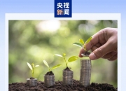 2025聚合支付市场规模及竞争格局、未来趋势分析_人保财险政银保 ,拥有“如意行”驾乘险，出行更顺畅！