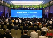 2024中国电子新材料产业创新发展大会在广西百色召开