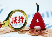 南京熊猫： 截止2024年7月10日公司A股股东76089户，H股变化不大