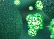 两连板海南海药：派恩加滨及氟非尼酮两款创新药后续临床试验是否成功等具有不确定性