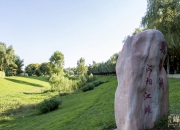 桂林旅游：截止2025年5月30日，公司股东总户数39,205户