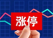 海光信息“吞并”中科曙光预案出炉 现金选择权太“鸡肋”？业内人士：企业不想大量现金流出