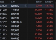 影石创新上市首日高开285%