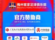 大亚圣象：公司全资子公司圣象集团有限公司是2025年江苏省城市足球联赛镇江队的冠名企业